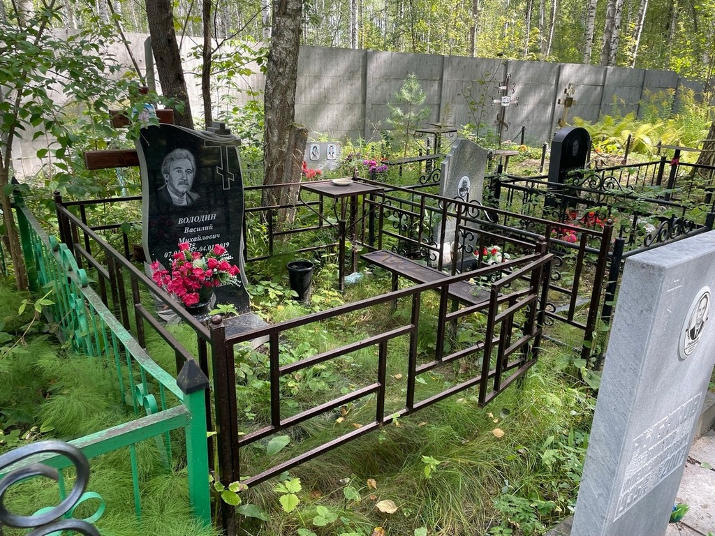 Володин Василий Михайлович