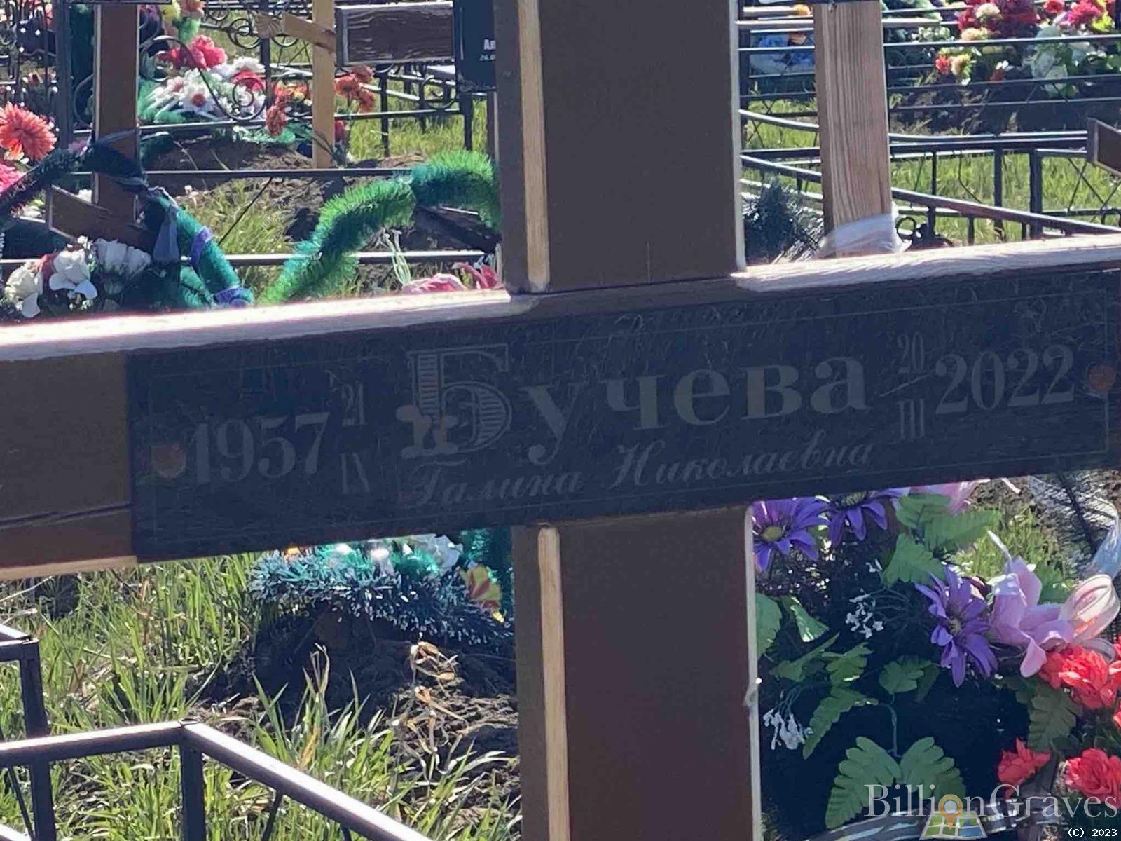 Бучева Галина Николаевна