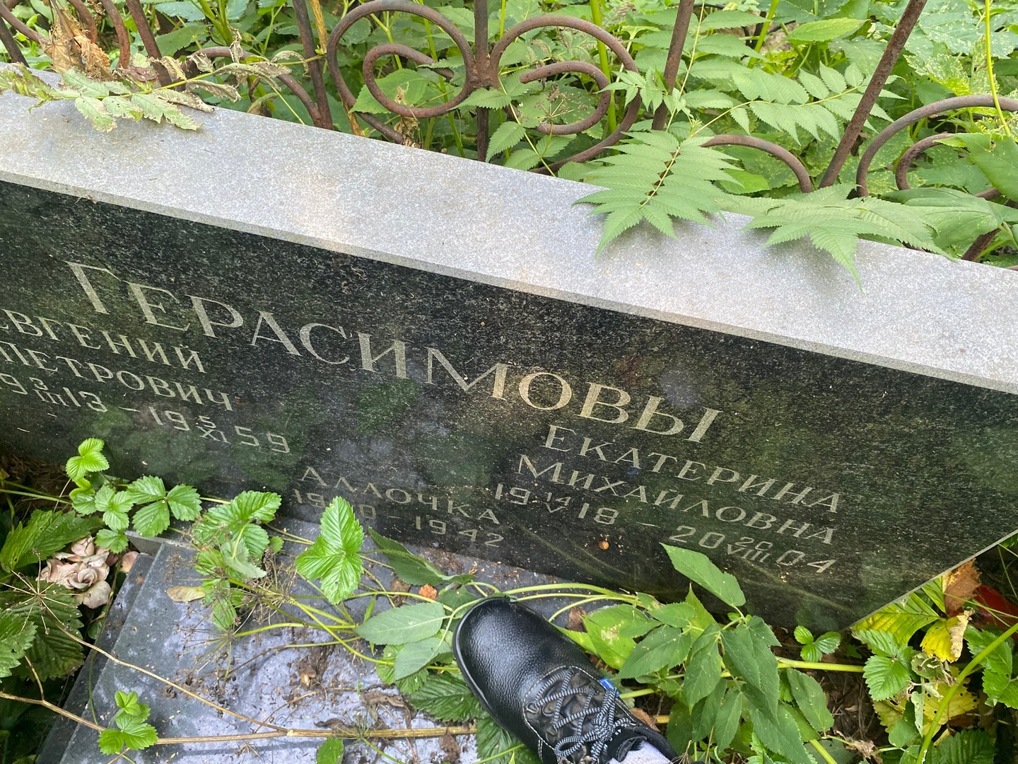 Герасимова