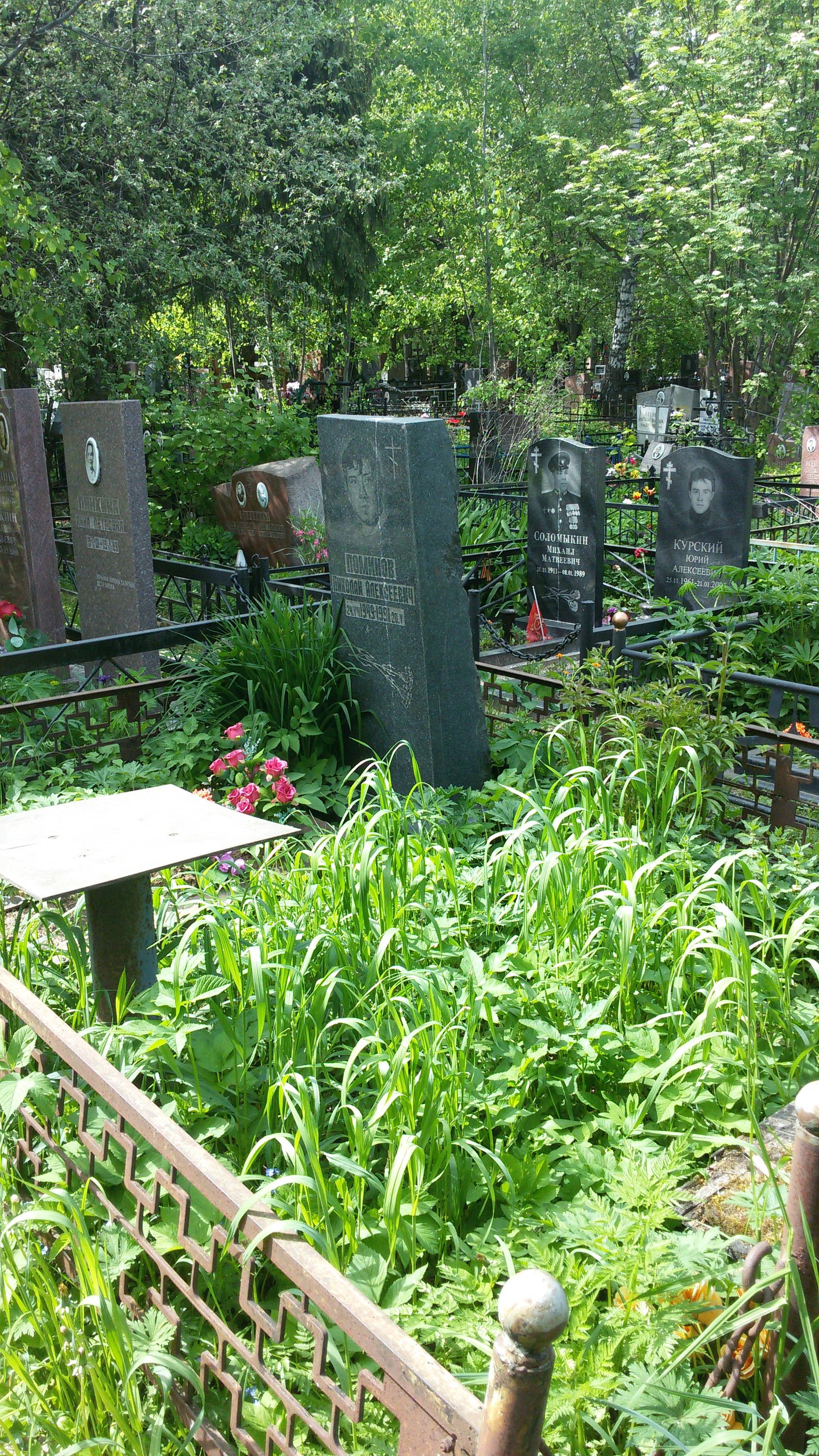 Поминов Николай Алексеевич