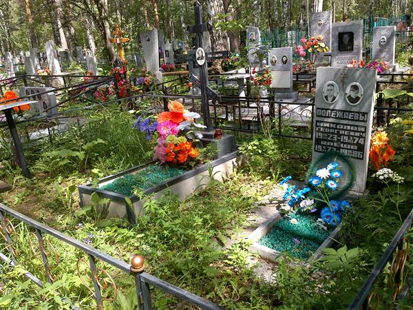 Полежаев Николай Георгиевич