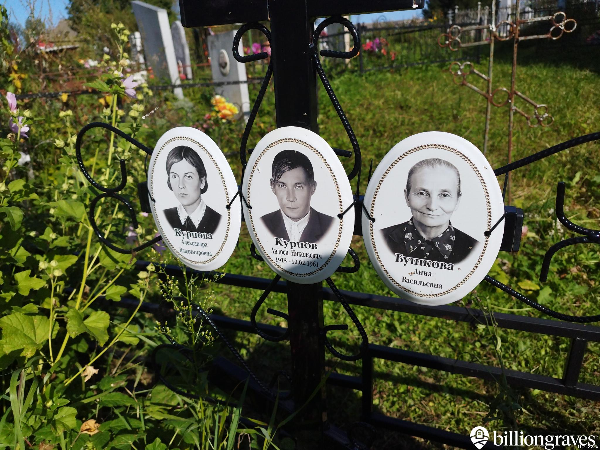 Курнов Андрей Николаевич