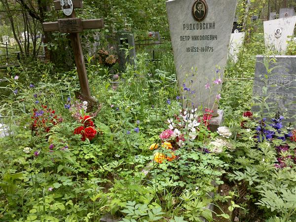 Рудковская Екатерина Александровна