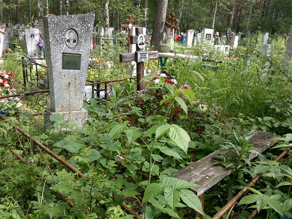 Шишминцева Алевтина Васильевна