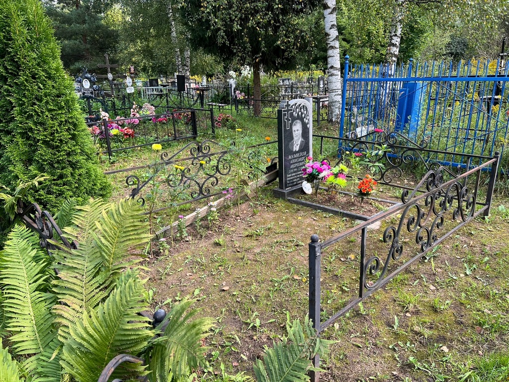 Мамилов Александр Андреевич