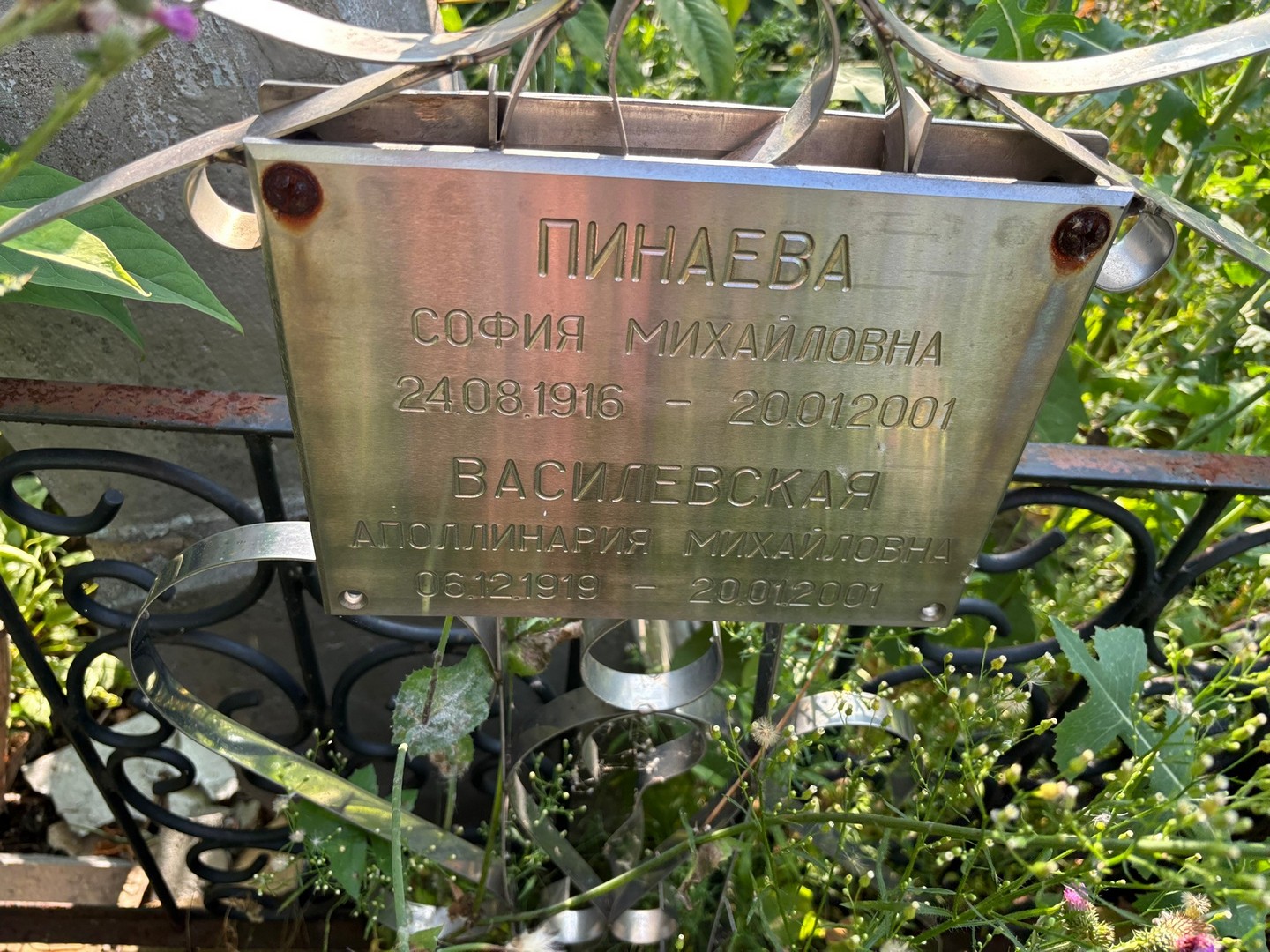 София Пинаева Михайловна