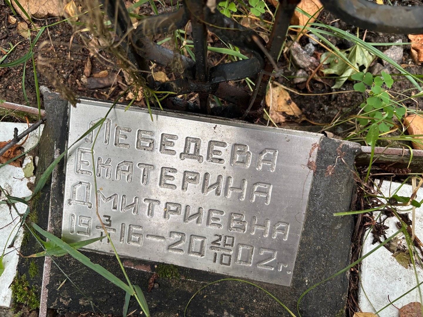Лебедева