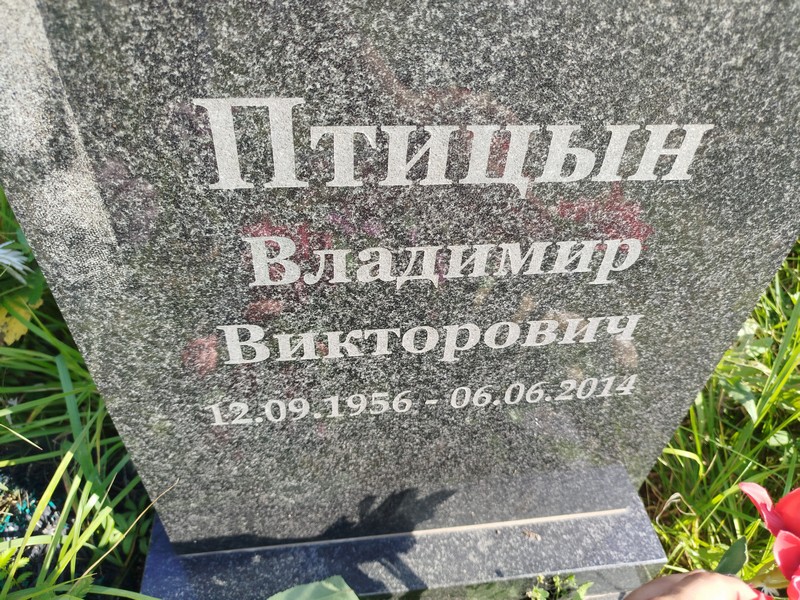 Птицын