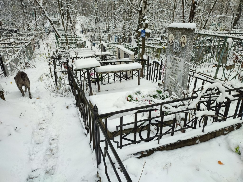 Вавилов Василий Васильевич