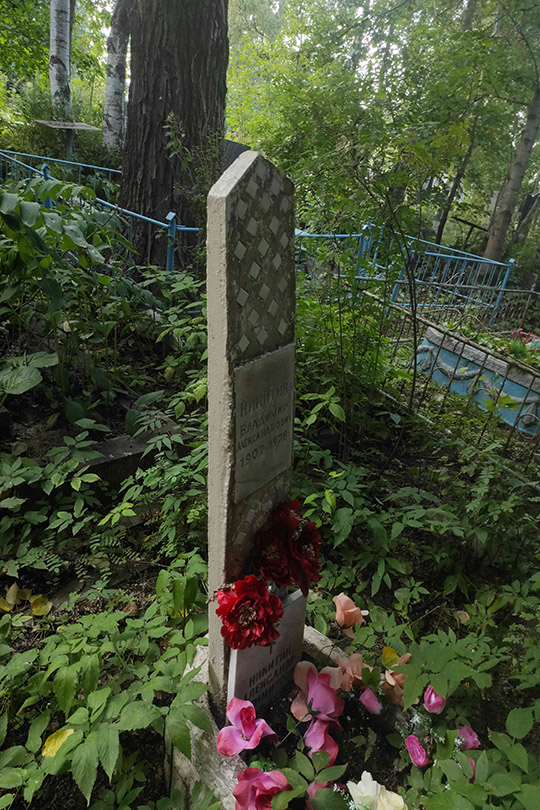 Никитин Владимир Александрович