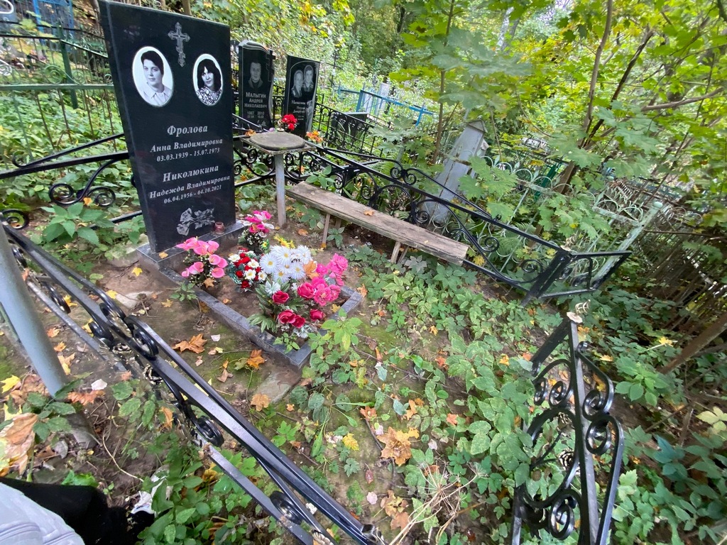Фролова Анна Владимировна