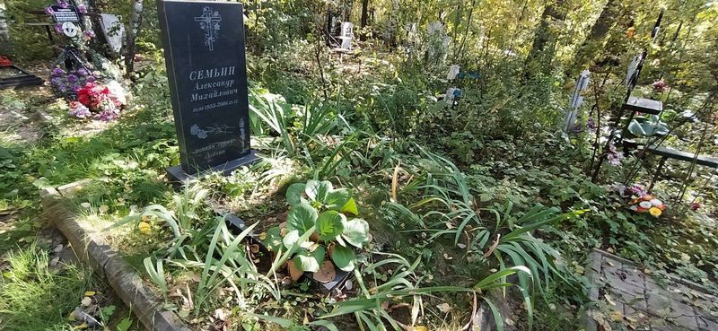 Семьин Александ Михайлович