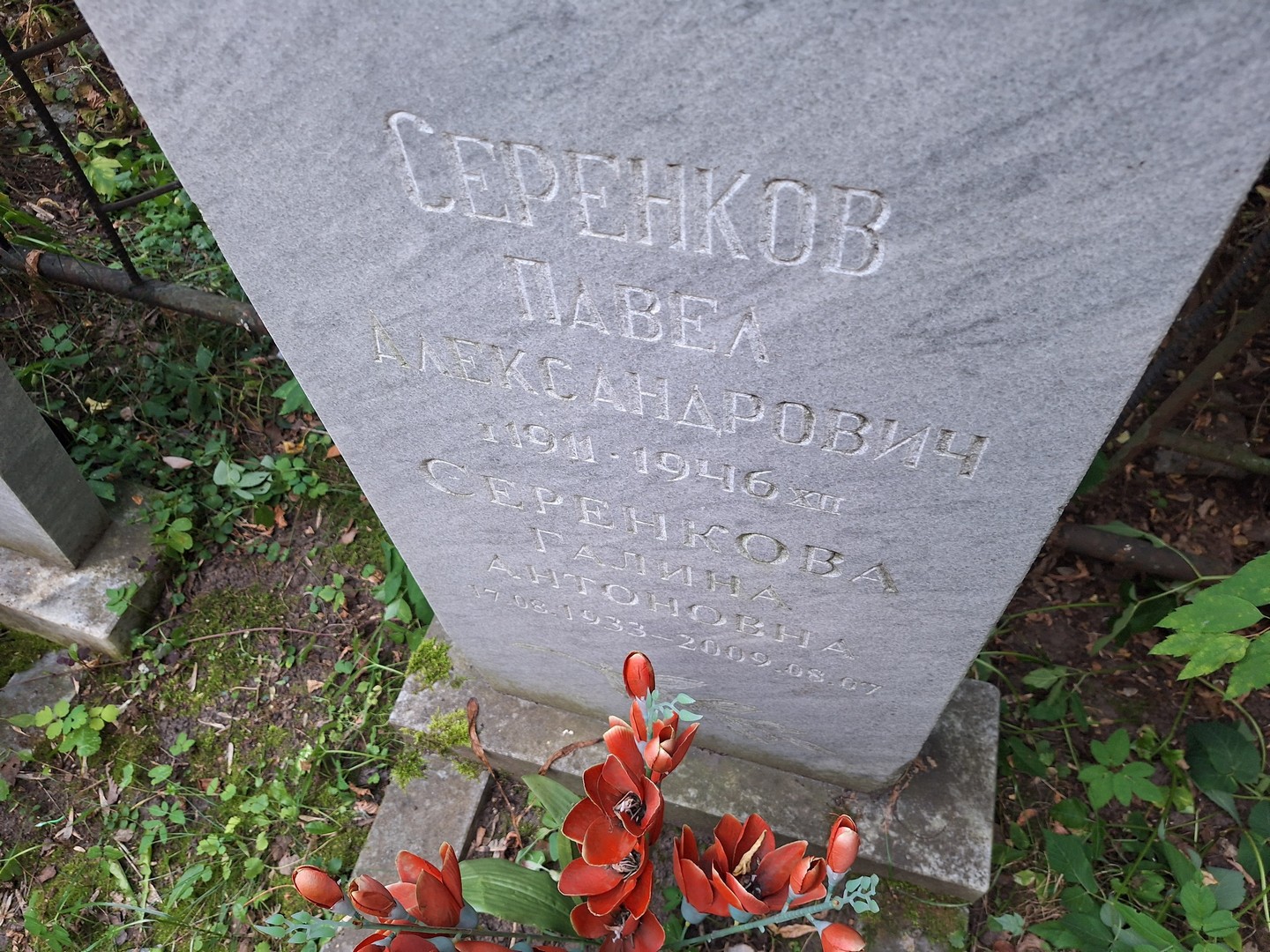 Серенкова