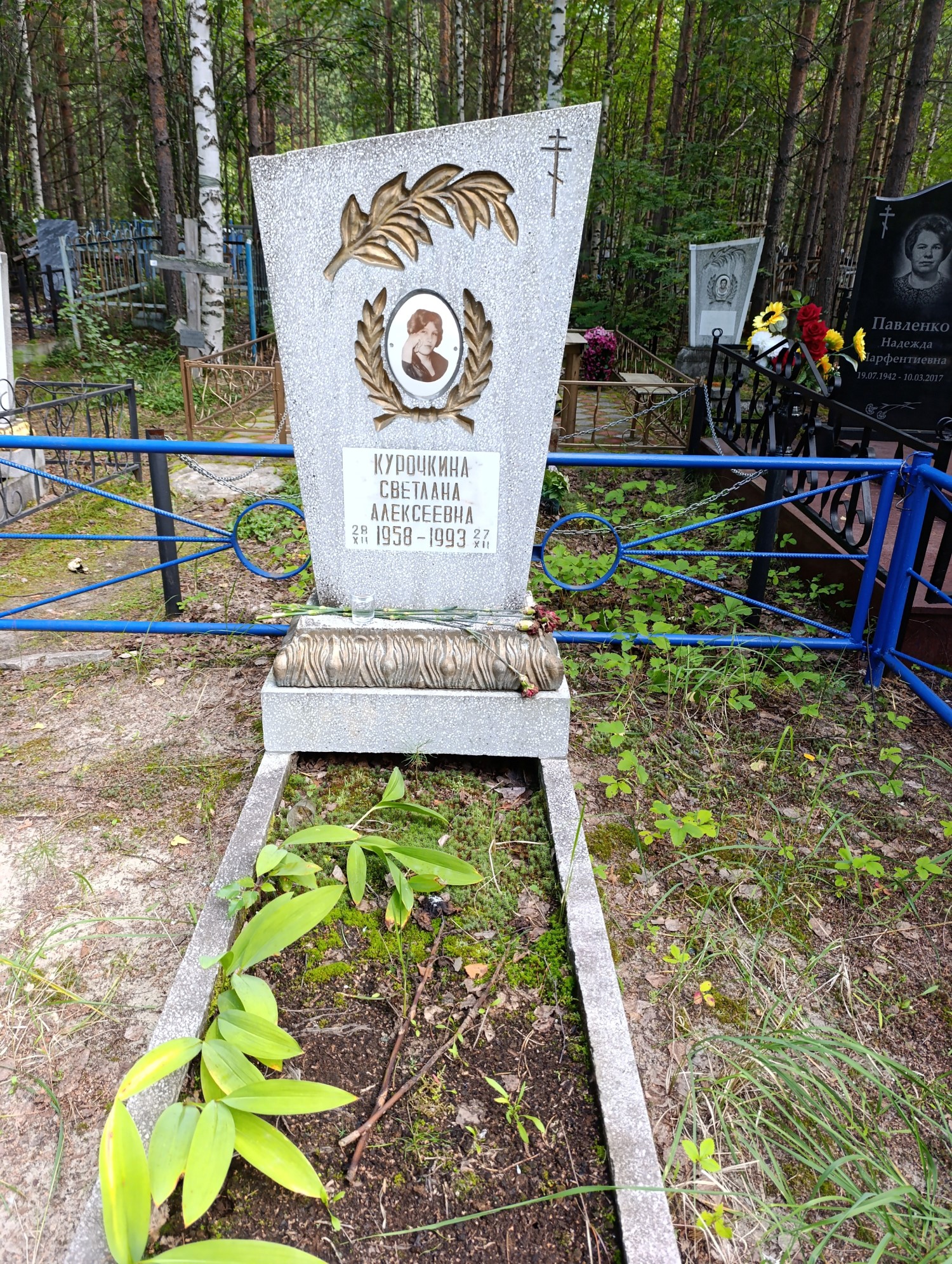 Курочкина Светлана Алексеевна