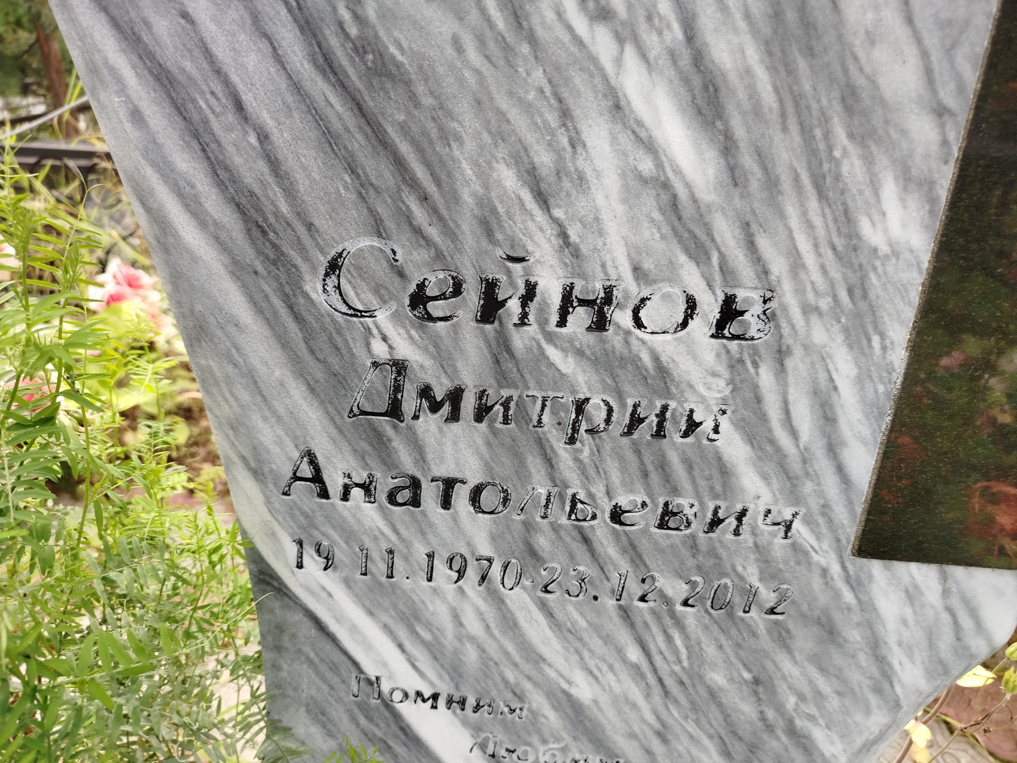 Сейнов Дмитрий Анатольевич