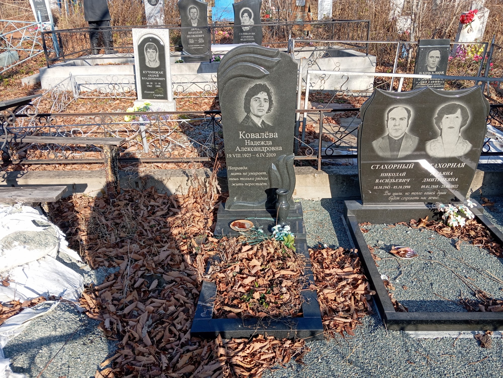 Ковалёва Надежда Александровна