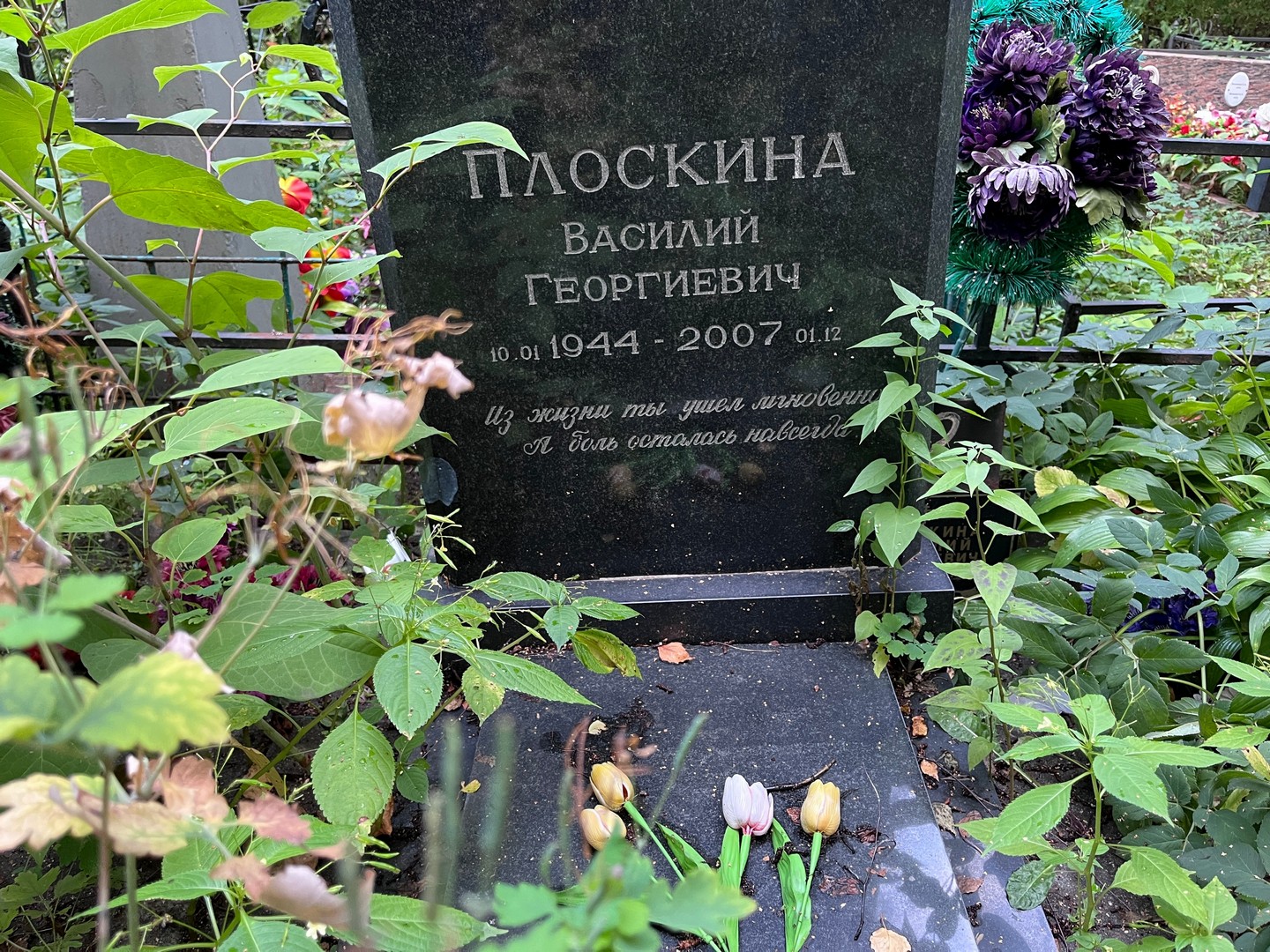Плоскина