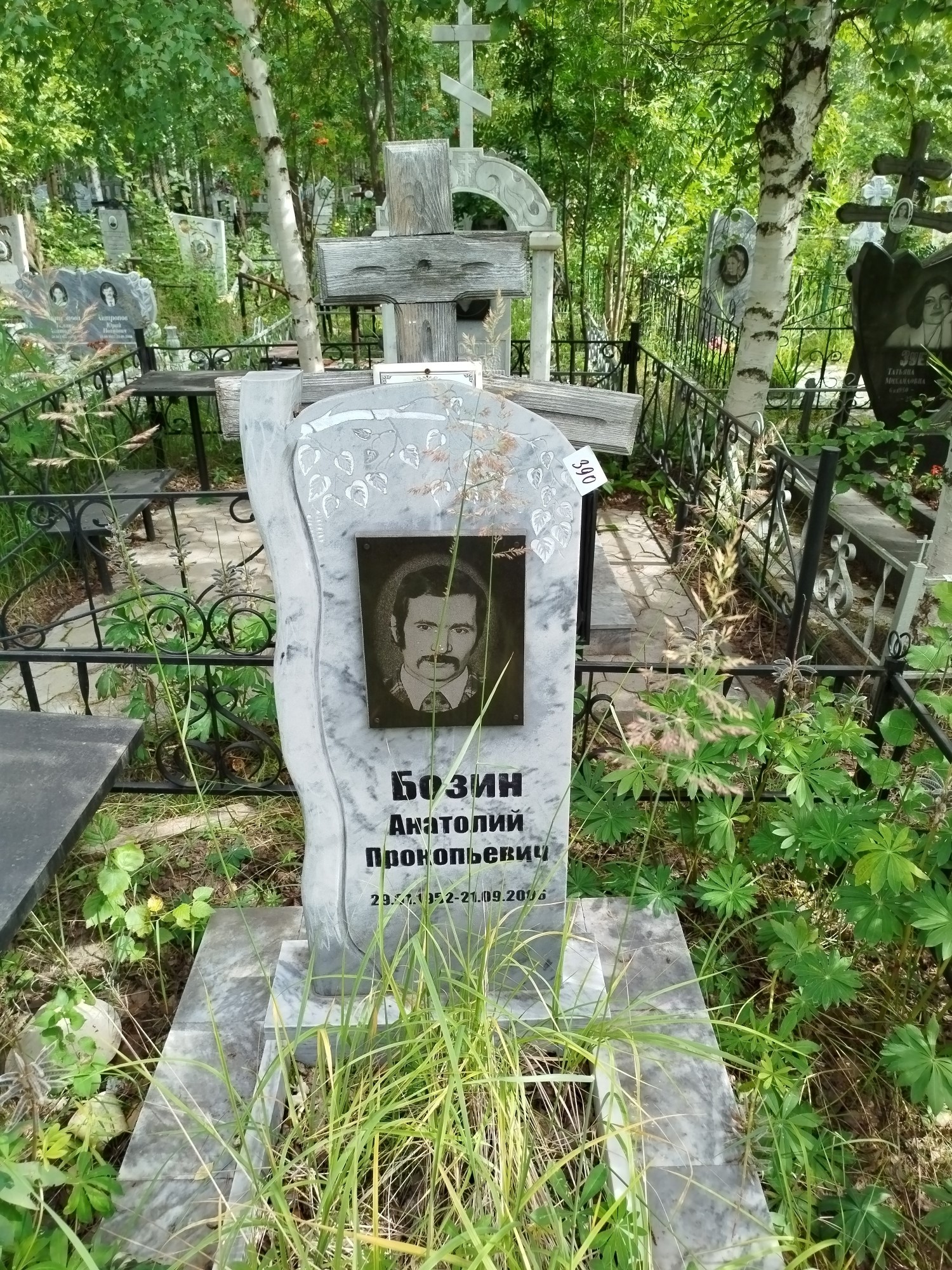 Бозин Анатолий Прокопьевич