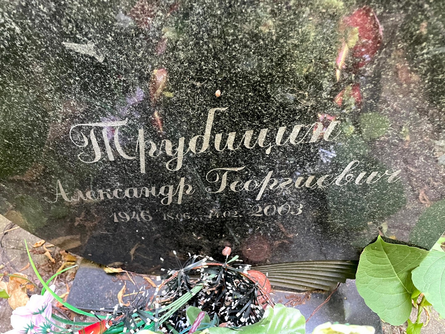 Трубицин