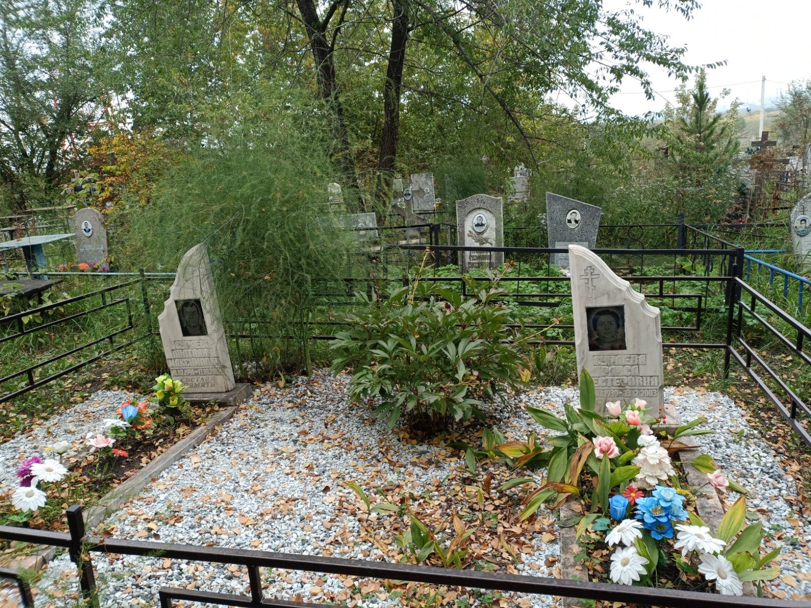 Сураев Анатолий Максимович