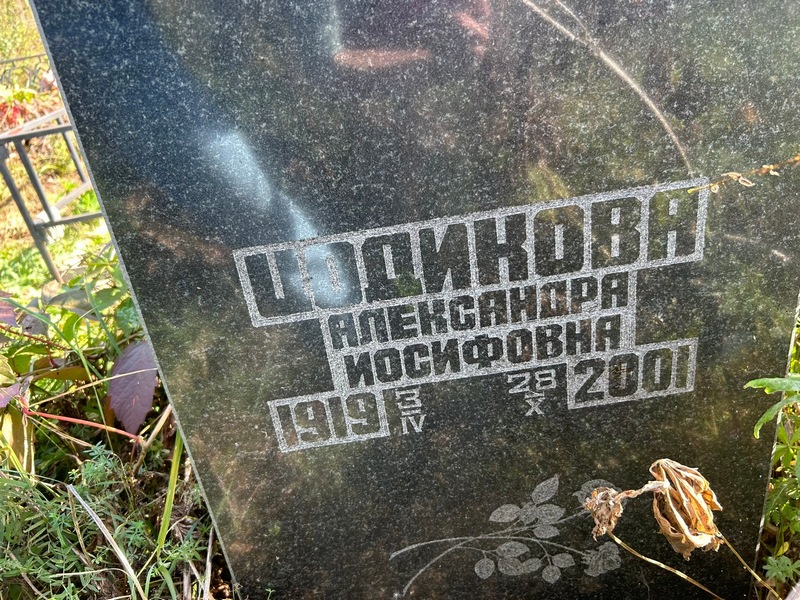 Цодикова Александра Иосифовна