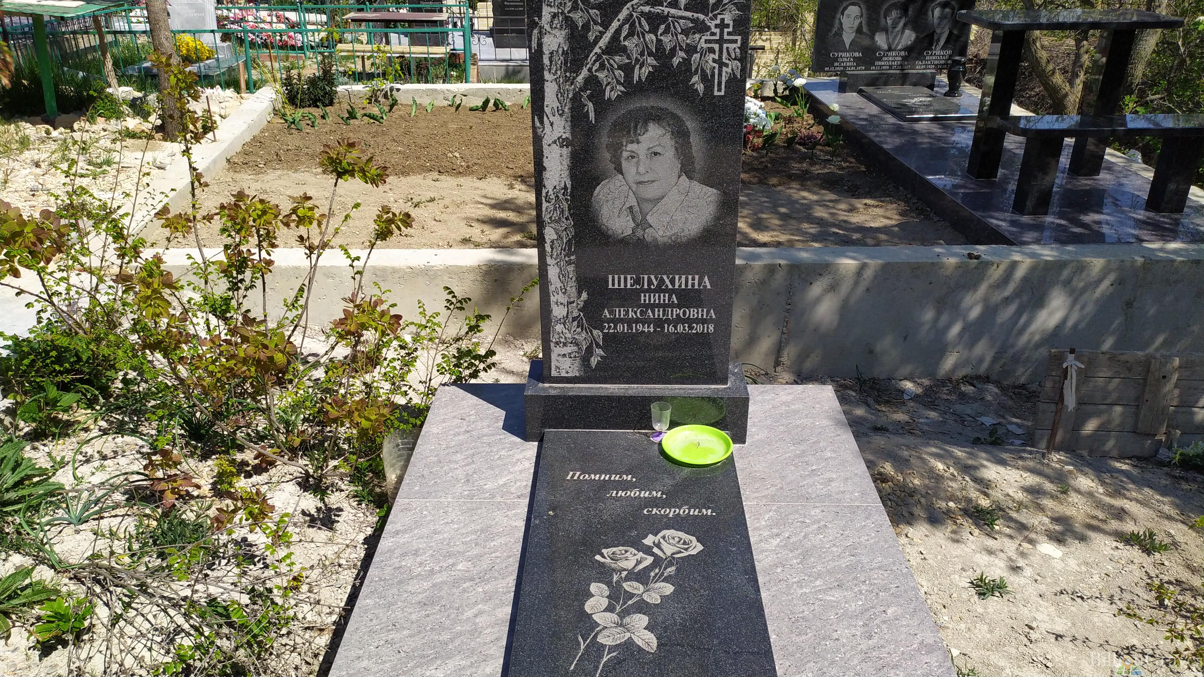 Шелухина Нина Александровна