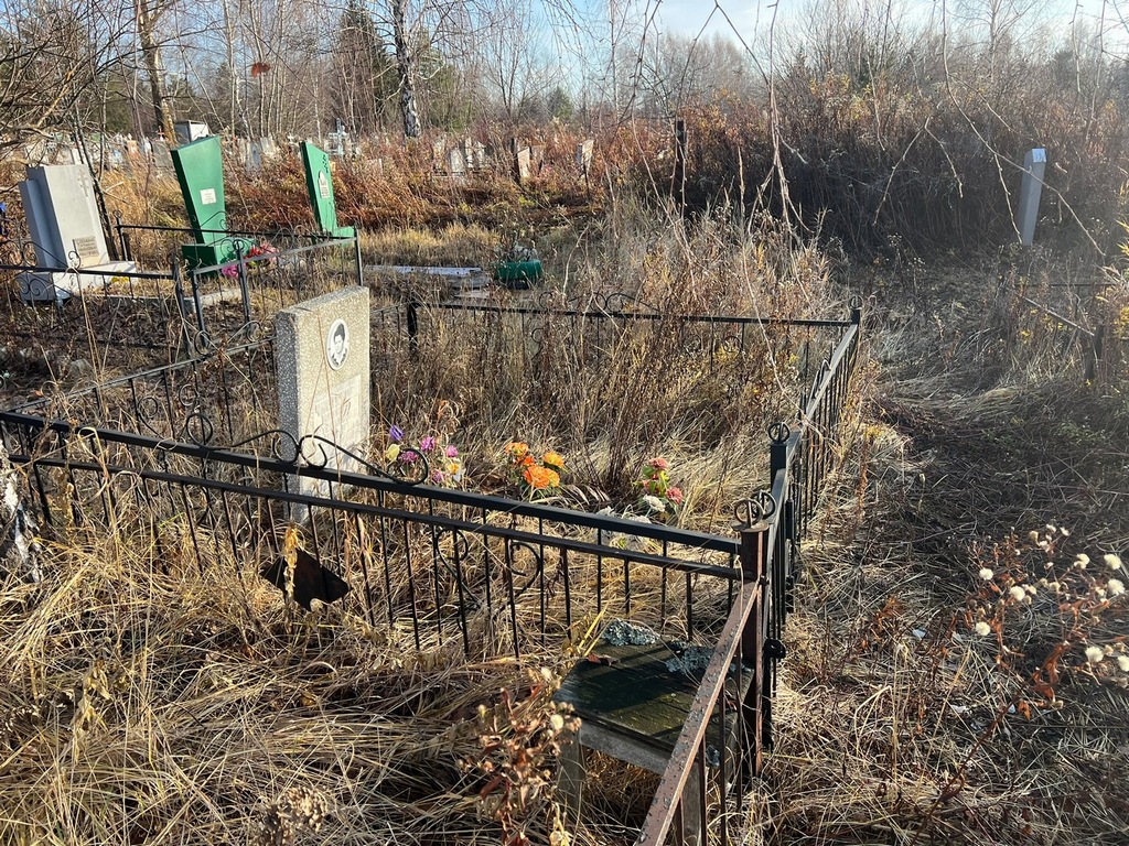 Чистякова Наталья Степановна