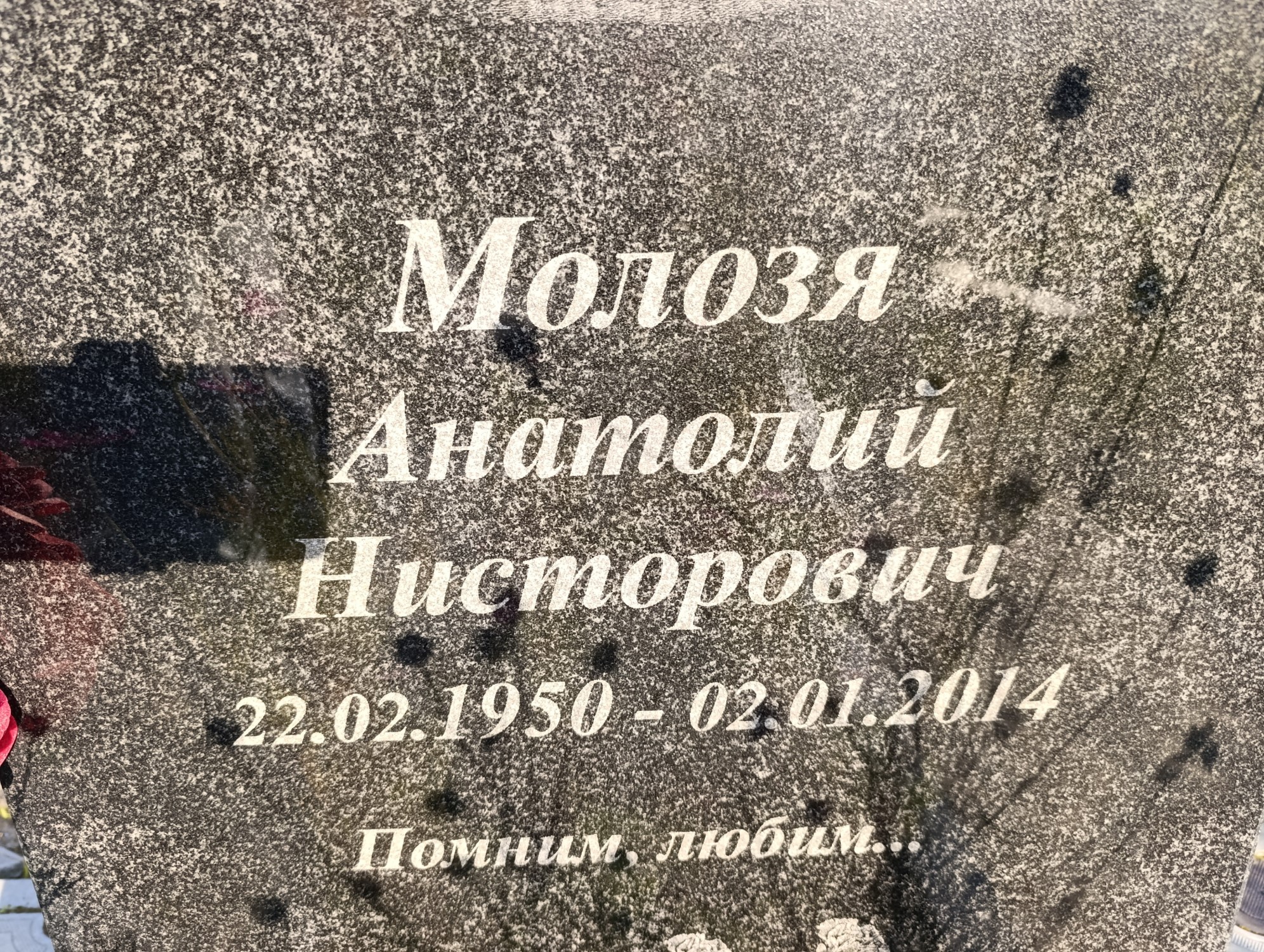 Молозя Анатолий Нисторович
