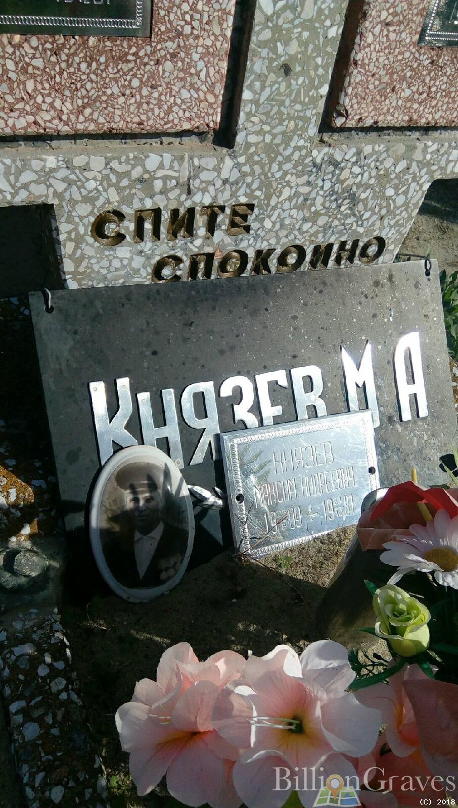 князев максим андреевич