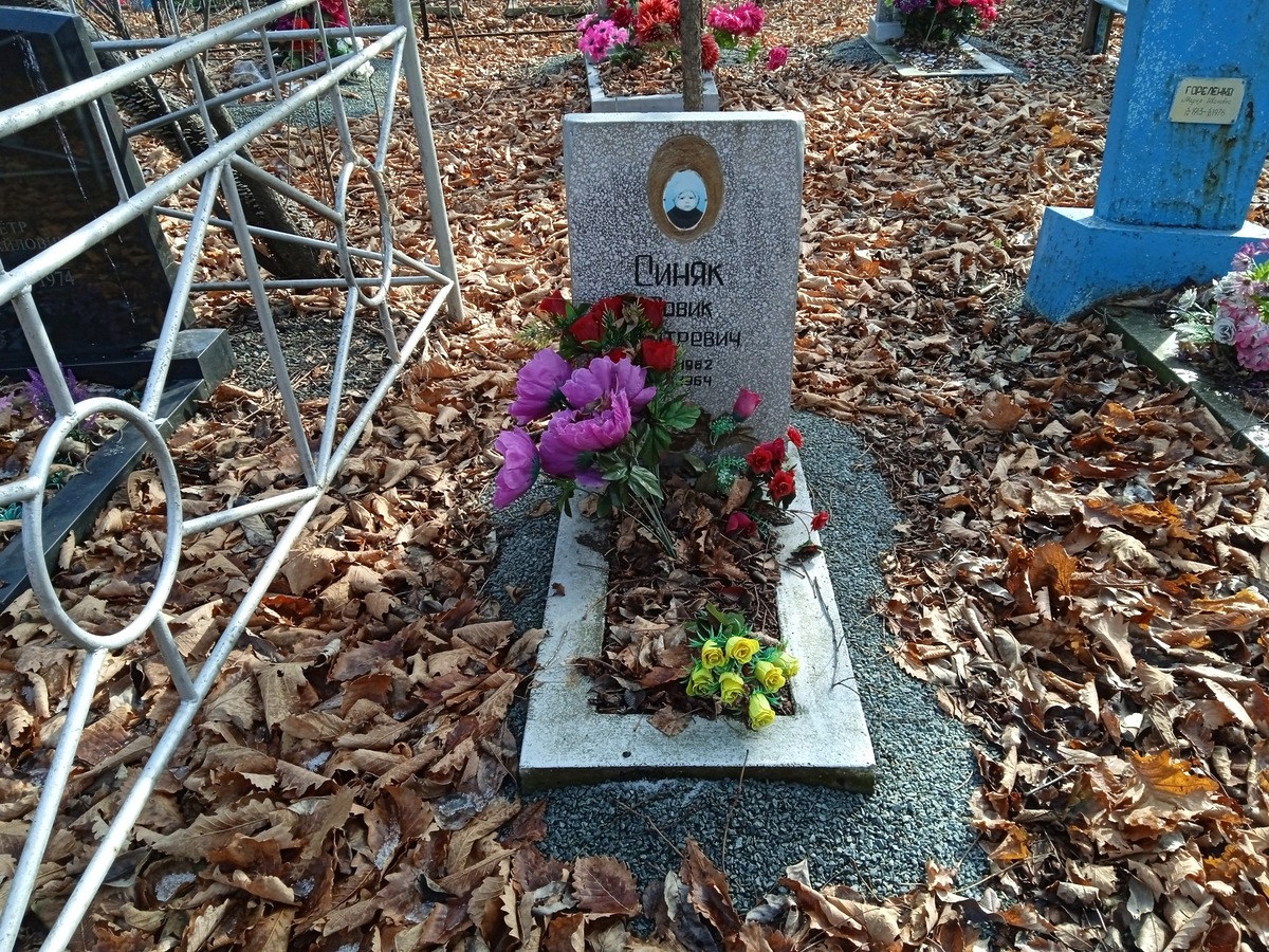 Синяк Вовик Дмитриевич