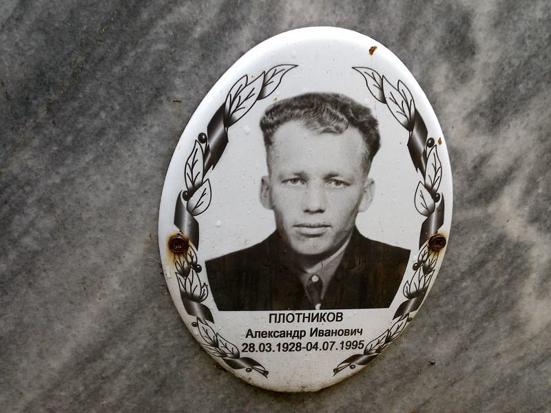 Плотников