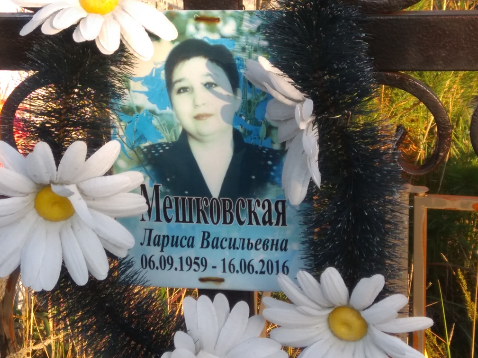 Мешковская Лариса Васильевна