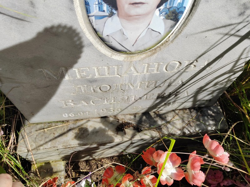 Мещанова