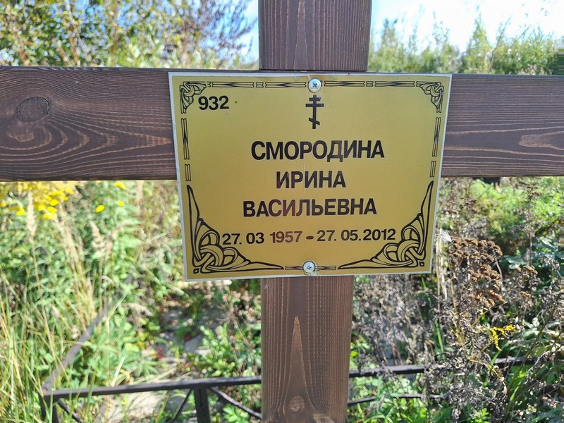 Смородина
