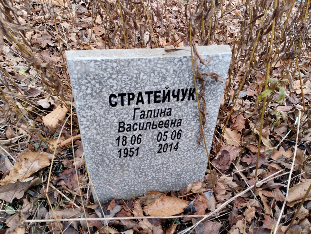 Стратейчук Галина Васильевна