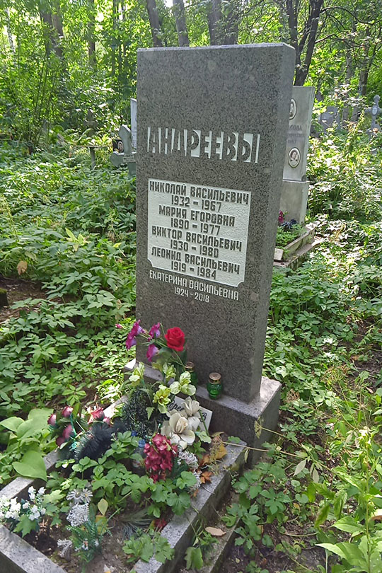Андреев Виктор Васильевич