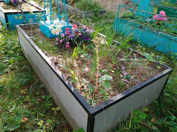 Ноговицина Таисья Петровна