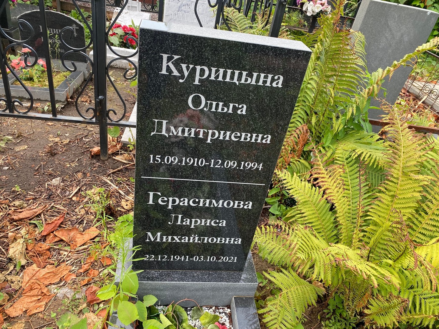 Курицына