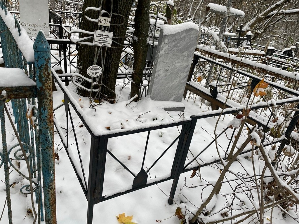 Епифанова Софья Филипповна