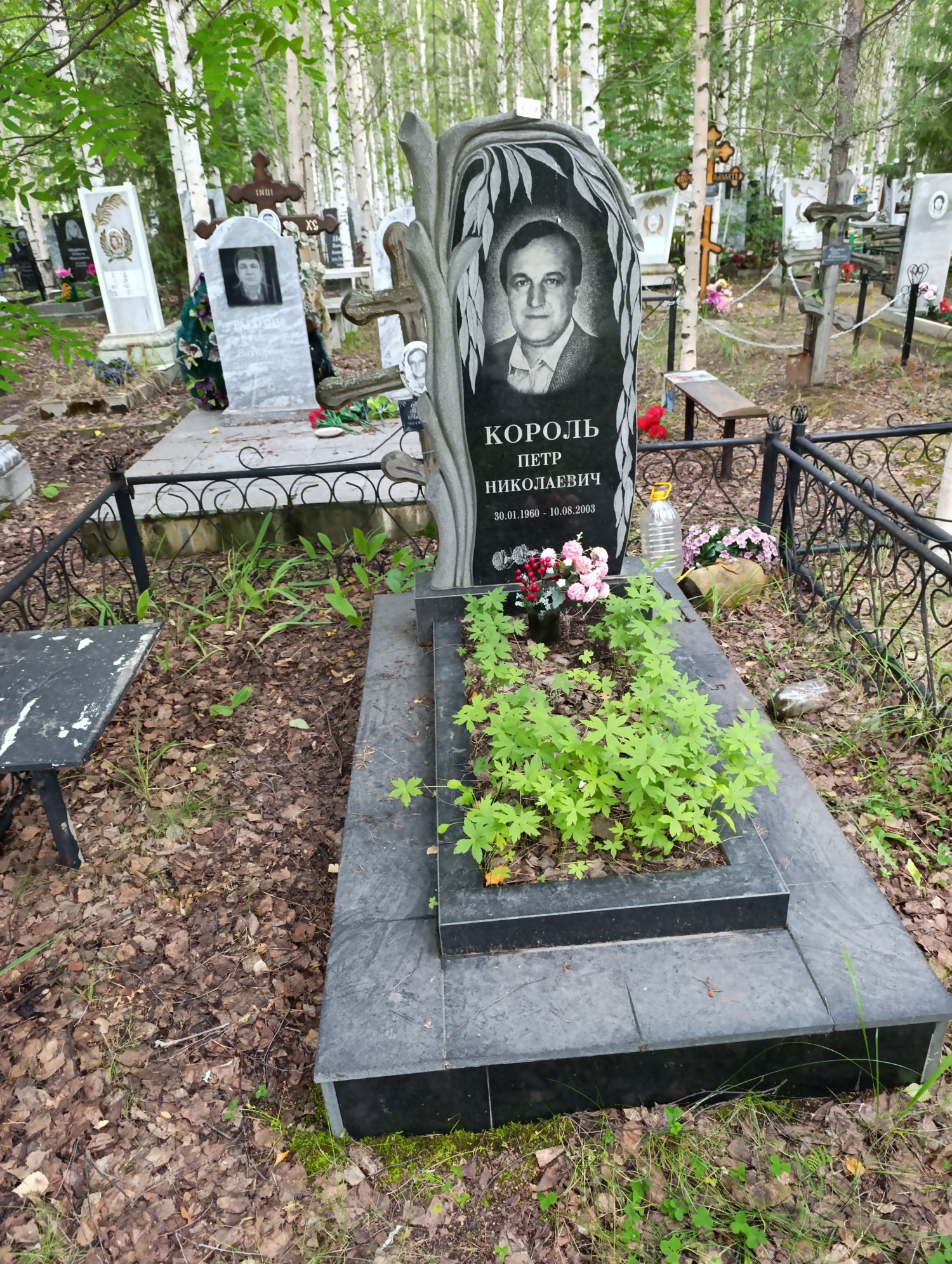 Король Петр Николаевич