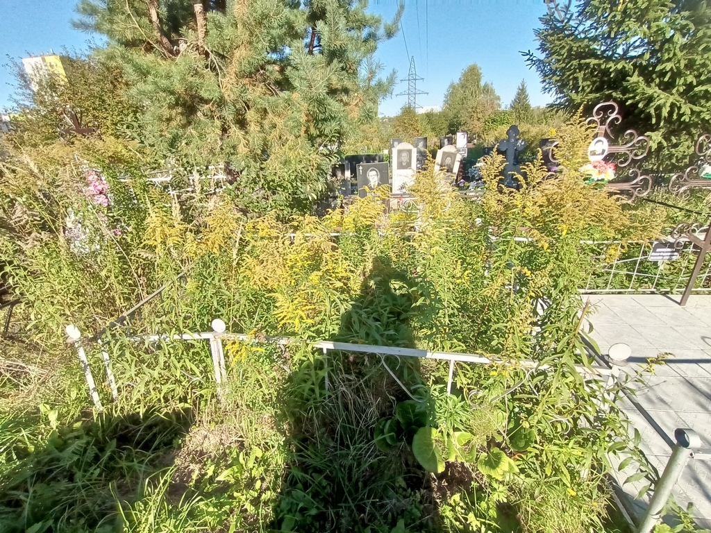 Лазарева Тамара Ивановна