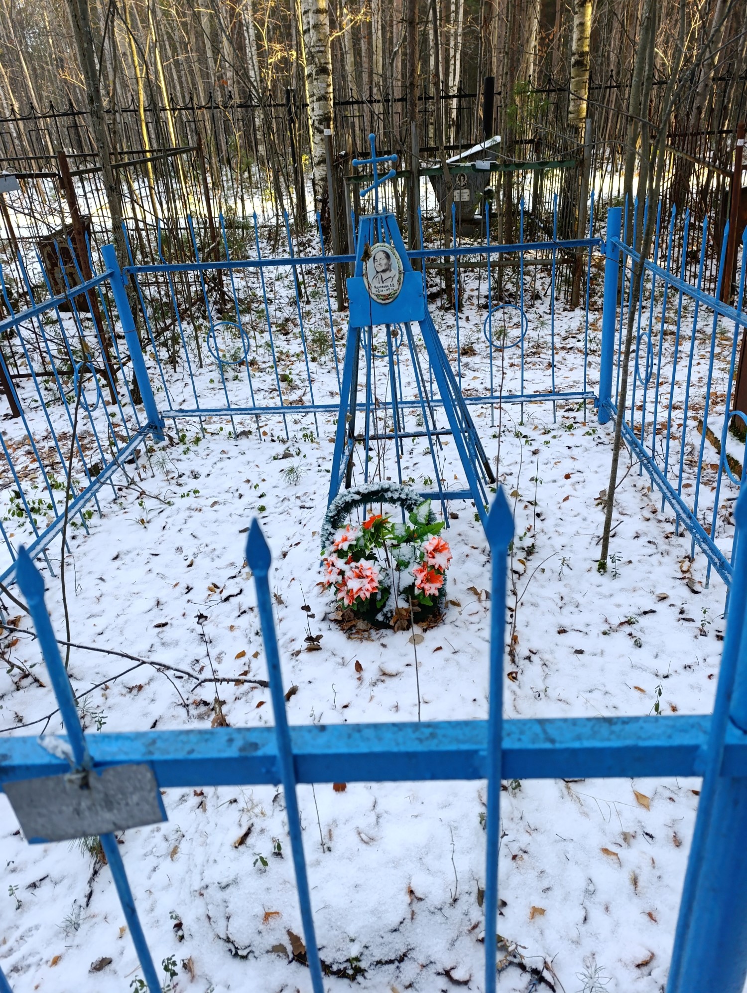 Колобова А В