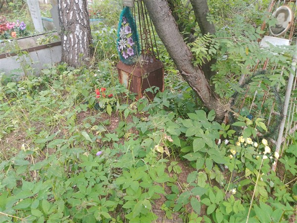 Котова Анна Владимировна
