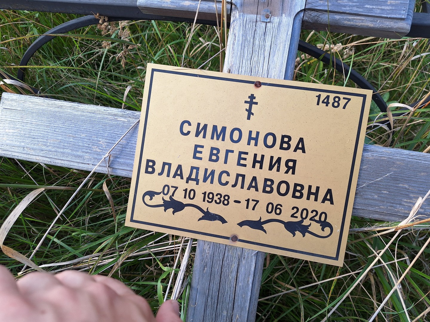 Симонова Евгения Владиславовна