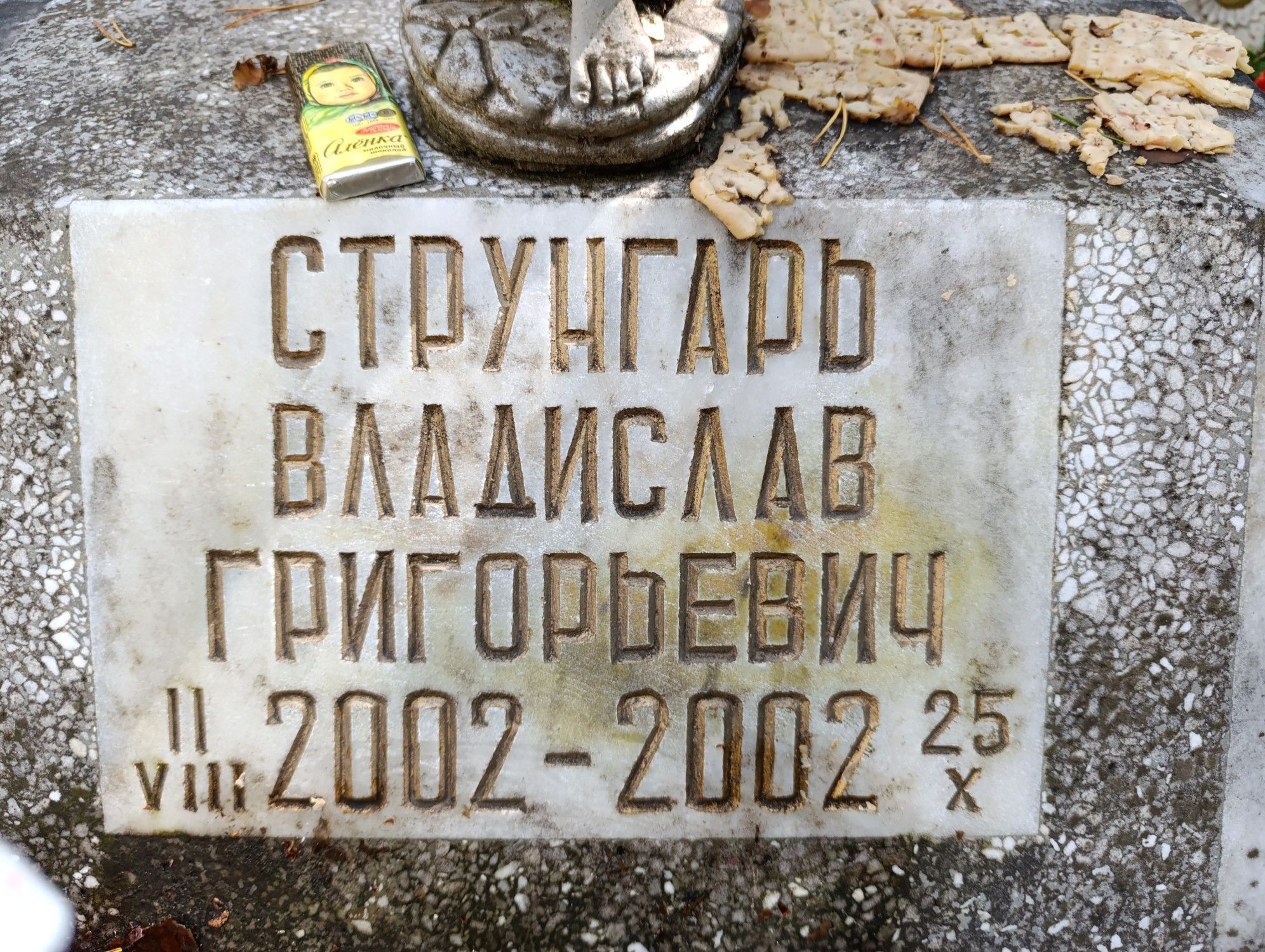 Струнгарь Владислав Григорьевич