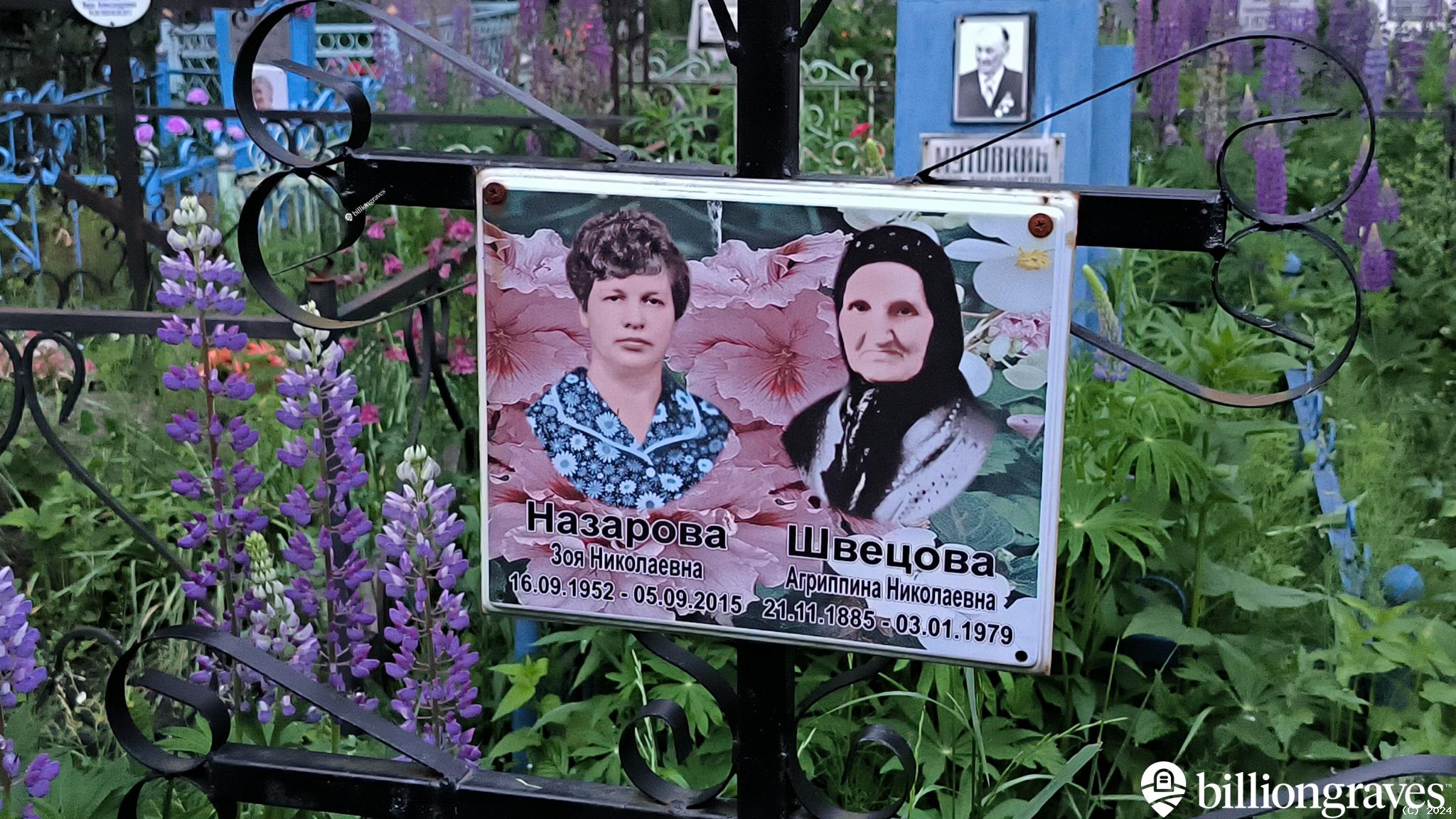 Швецова Агриппина Николаевна
