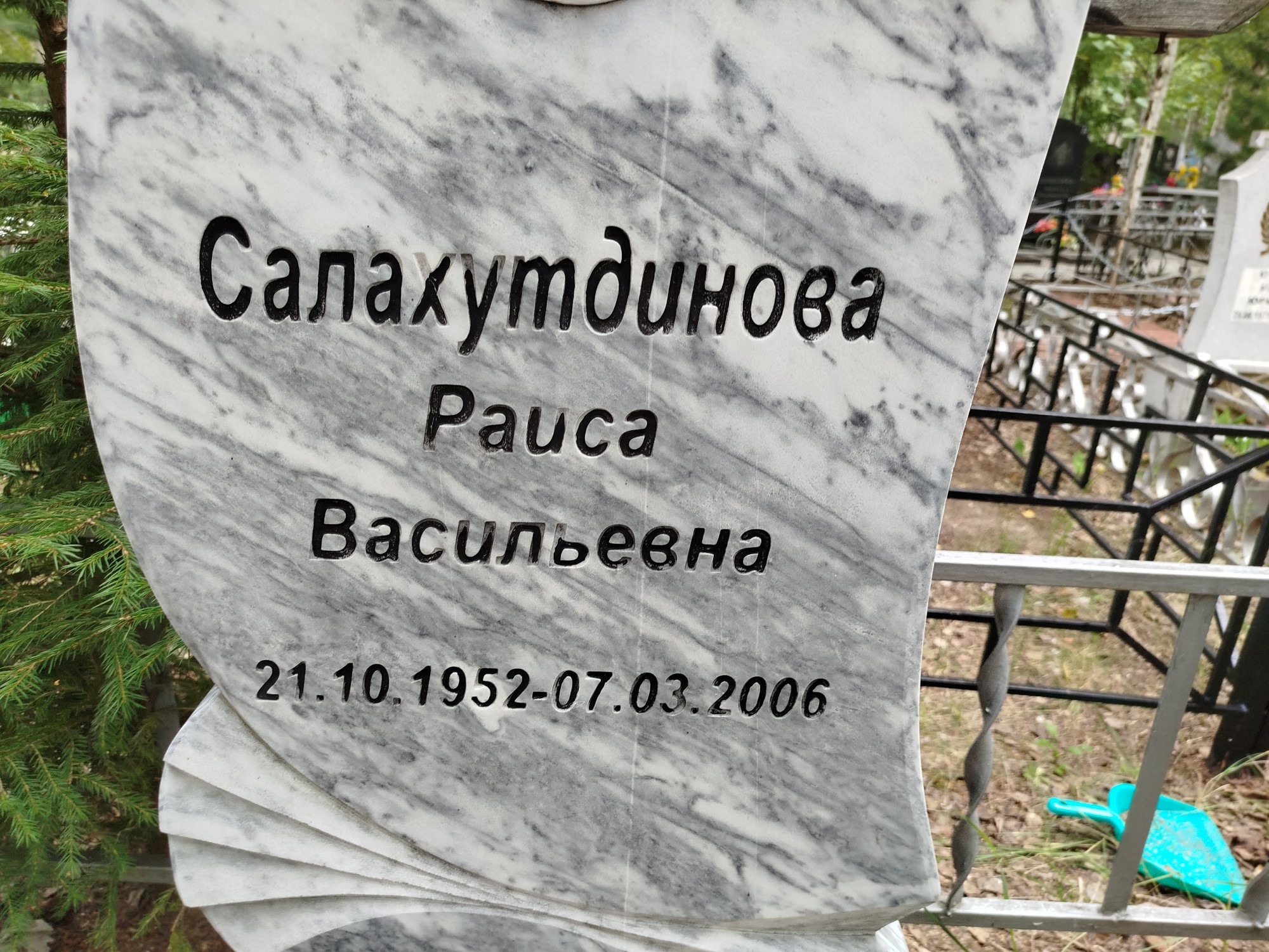 Салахутдинова Раиса Васильевна