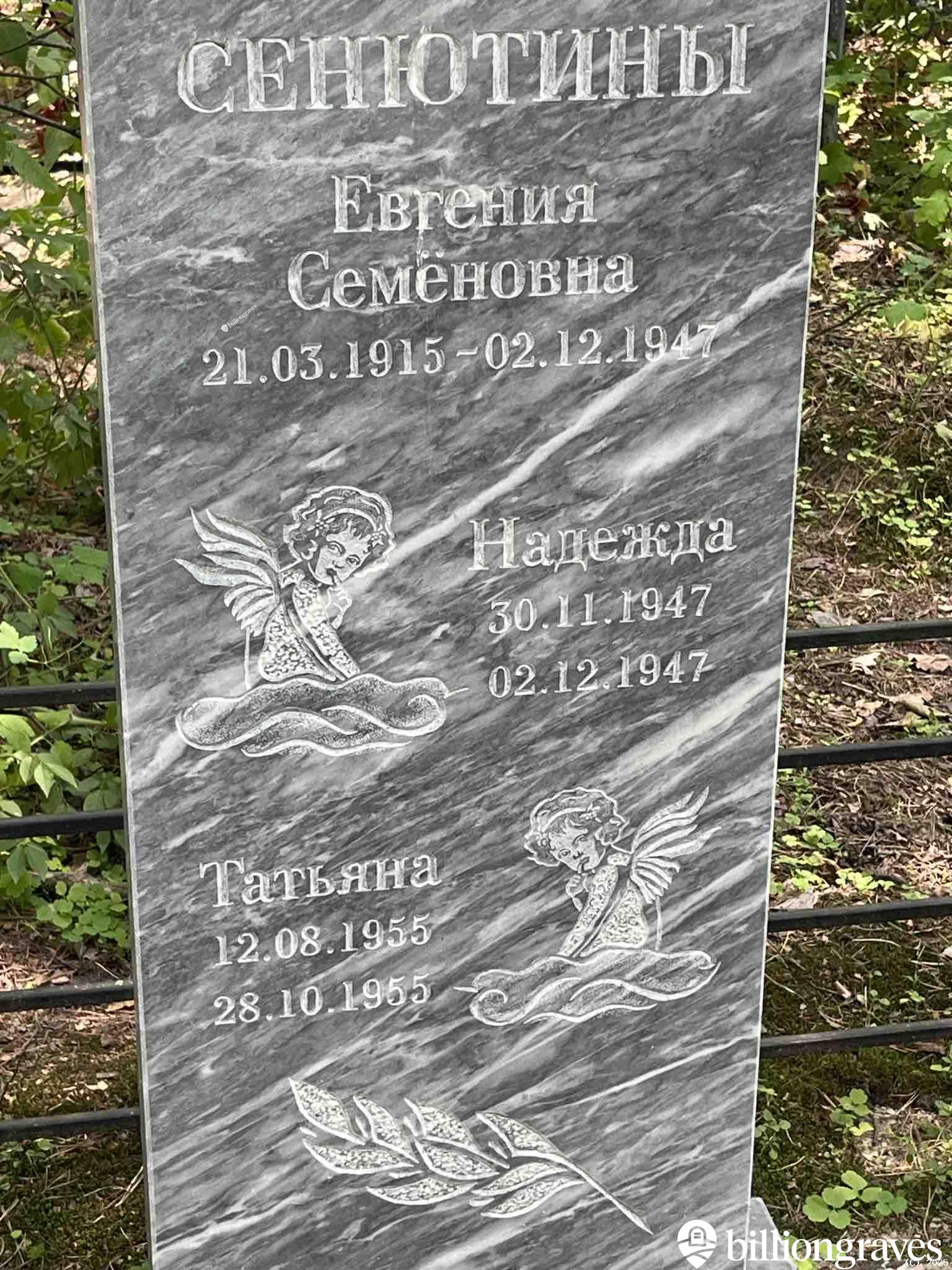 Сенютина Евгения Семёновна