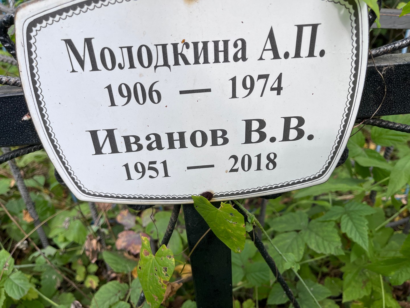А Молодкина П