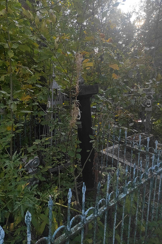 Дмитриев Михаил Павлович